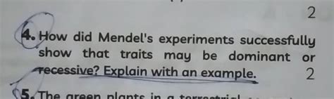 How Did Mendel S Experiments Successfully Show That Traits May Be Domi