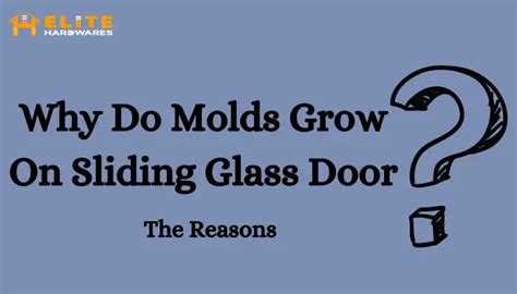 How To Clean Mold From Sliding Glass Door Easy Removal With Pro Tips