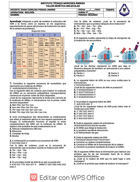 Taller Traducci A N Y Transcripci A N Aprendizaje Interpreta A Partir