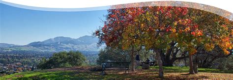 Parks And Facilities Pleasant Hill Recreation And Park Ca