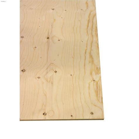 12 X 4 X 8 Standard Spruce Plywood Plywood