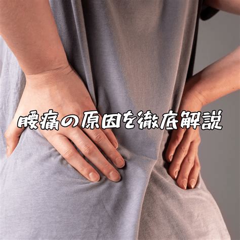 腰痛の原因を徹底解説！症状に応じた腰痛ストレッチやトレーニングをご紹介 【高松】パーソナルトレーニング Medical Fitness Pono