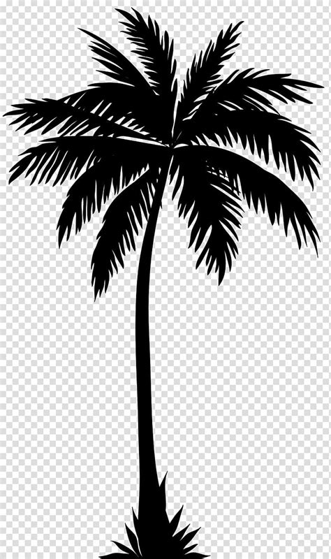 Palm Tree Illustration Arecaceae Silhouette Tree Palm Tree