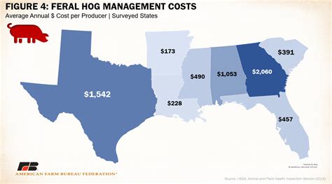 Wild Hog Population Map 2024 Us - Gilly Justina