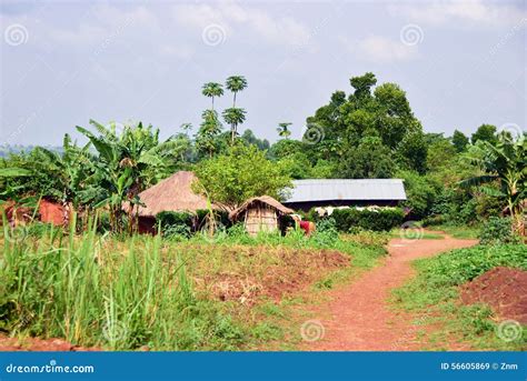 Village In Uganda Stock Image Image Of Nature Culture 56605869