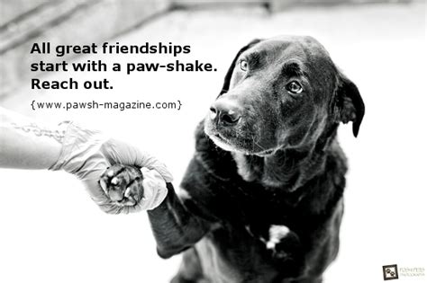 Human Animal Bond Quotes. QuotesGram