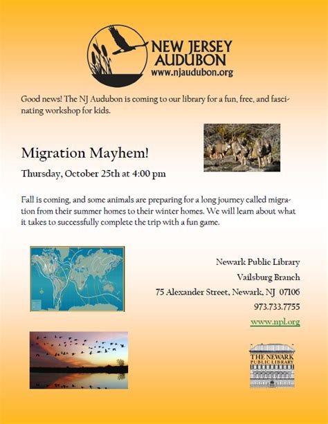 Migration Mayhem Workshop New Jersey Audubon Newark Public Library