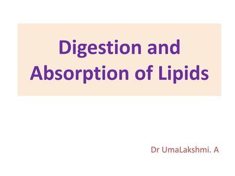 SOLUTION Digestion And Absorption Of Lipids Studypool