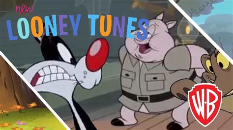 Porky And Sylvester Cartoons - Infoupdate.org