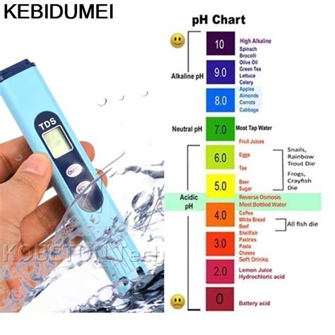 Draagbare Digitale Ph Meter Tester Tds Meter Voor Vicedeal