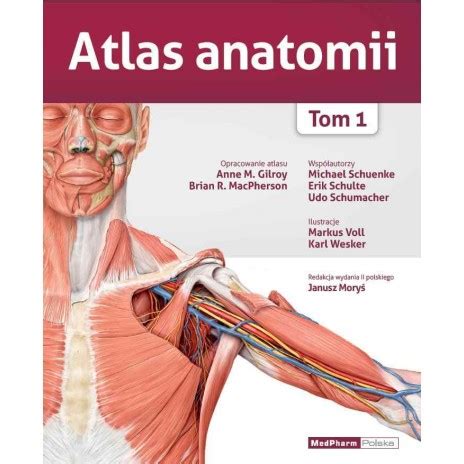 Atlas Anatomii Gilroy Niska Cena Na Allegro Pl