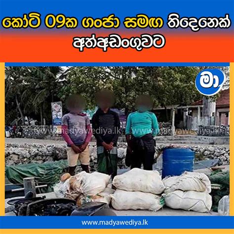 කෝටි 09ක ගංජා සමඟ තිදෙනෙක් අත්අඩංගුවට මාධ්‍යවේදියා