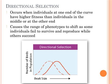 Ppt Chapter 17 Evolution Of Populations Powerpoint Presentation Free