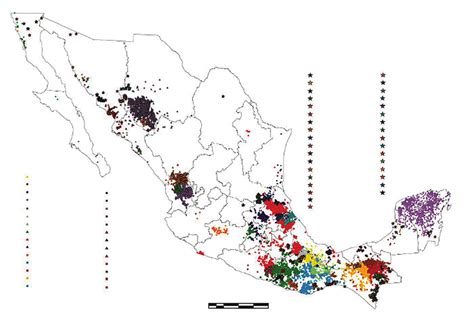 Mapa De Lenguas Indígenas Según El Inali Download Scientific Diagram