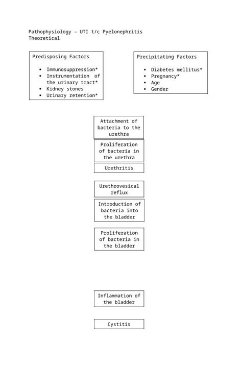 Doc Pathophysiology Pyelonephritis Dokumen Tips