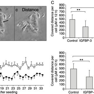 IGFBP 3 Inhibits Du145 Invasion Through Matrigel Cells Were Seeded In