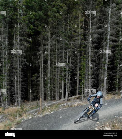 Downhill Mountain Bike Rider Hi Res Stock Photography And Images Alamy