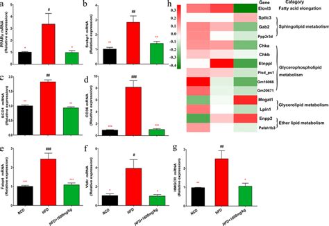 Gml Supplementation Regulated Hepatic Lipid Metabolism In Hfd Fed Mice