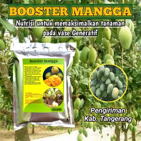 Jual Pupuk Booster Mangga Perangsang Bunga Dan Pelebat Buah Kemasan