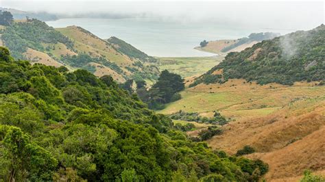 Otago Peninsula Vacation Rentals, NZL: house rentals & more | Vrbo