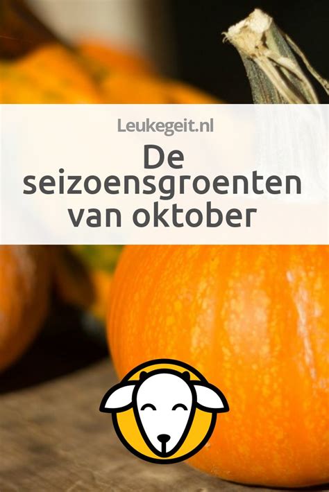 Seizoensgroenten Oktober Verse Groenten Het Hele Jaar Door