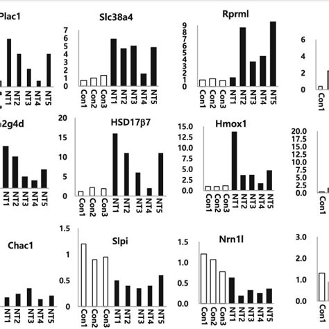 Quantitative Real Time Pcr Analysis Twelve Genes From Different