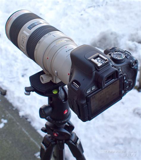 Canon EF 100-400mm vs Canon EF 70-200 F/2.8 II + Canon EF 2x III Extender