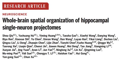 【文汇报】中国脑计划成果登上《科学》： 多团队联手，解析出小鼠海马体单神经元全脑投射规律 中国科学院脑科学与智能技术卓越创新中心