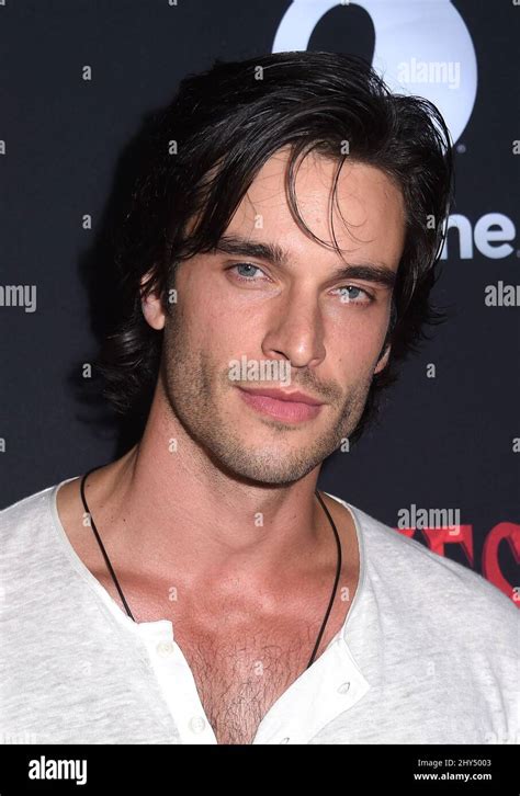 Daniel Di Tomasso