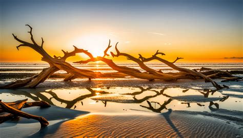 Jekyll Island-Home To The Remarkable Driftwood Beach