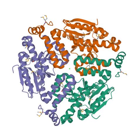 RCSB PDB 3KQF 1 8 Angstrom Resolution Crystal Structure Of Enoyl CoA