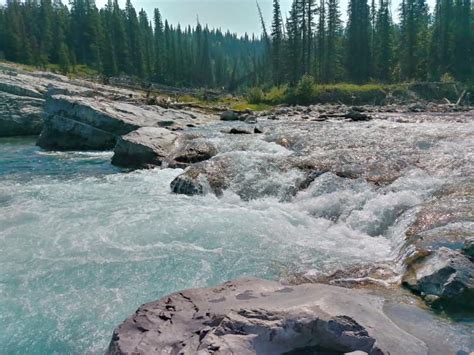 Elbow Falls Hike Bragg Creek Perfect Picnic By A Waterfall