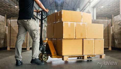 Workers Unloading Packaging Boxes On Pallets In Warehouse Cartons Wall