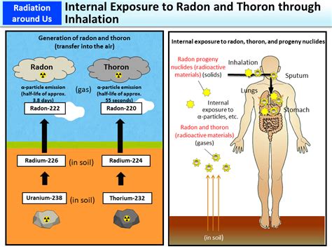 Internal Exposure To Radon And Thoron Through Inhalation Moe