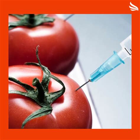 Conheça os benefícios do uso de alimentos transgênicos!