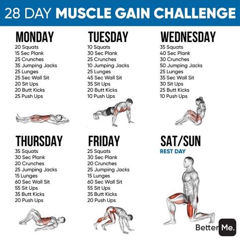 28 Day Muscle Gain Challenge Workout Plan