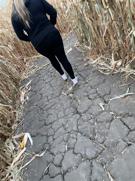 BustyHouseWifey On Twitter Got Naked In A Corn Maze Today Link In