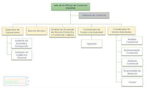 Organigrama De Una Empresa Industrial Funciones Y Ejemplos Hot Sex