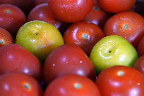 Tomates Tomate Ameixa Vegetal Foto Gratuita No Pixabay Pixabay