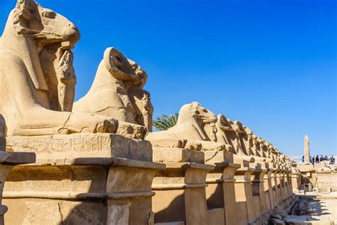 Avenue Of The Ram Headed Sphinxes In A Karnak Temple Luxor Egypt