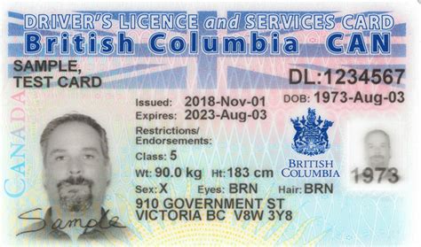 Driver’s Licence Gender ‘x’ A Good First Step Says Prof The Tyee