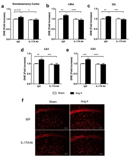 Il 17a Neutralization Prevents Ang Ii Induced Oxidative Stress