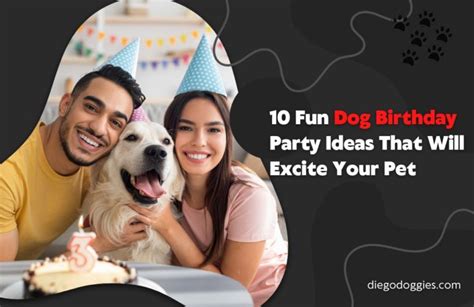 10 Fun Dog Birthday Party Ideas That Will Excite Your Pet