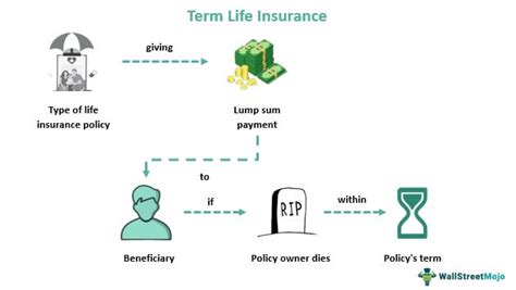 Term Life Insurance What Is It Types Examples Pros Cons