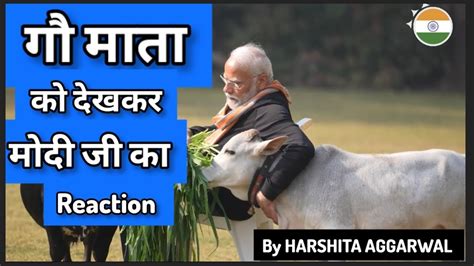 Pm Modi Ji Feeds Cow On Makar Sakranti At His Residence Youtube