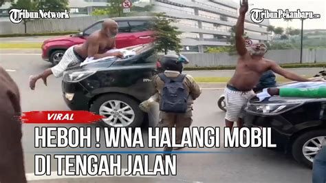 Viral Video Diduga Mabuk Bule WNA Nekat Hadang Mobil Di BSD Tangerang