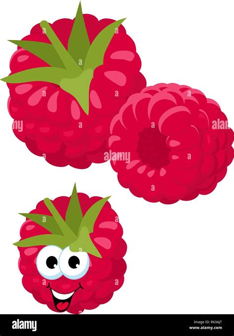 Raspberry Fresh Raspberry Berries Isolated On White Background Funny