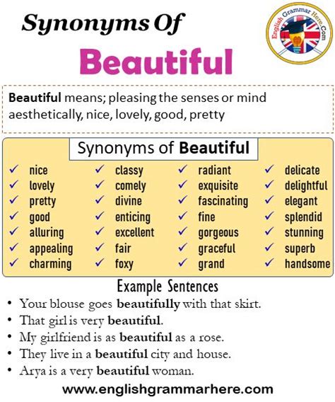 Synonyms Of Beautiful, Beautiful Synonyms Words List, Meaning and ...