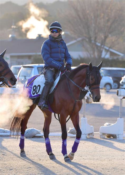 【日経新春杯】アドマイヤビルゴ、重賞初vで飛躍の年に 友道師「成長している」 競馬ニュース