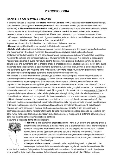 Psicobiologia Introduzione Warning Tt Undefined Function